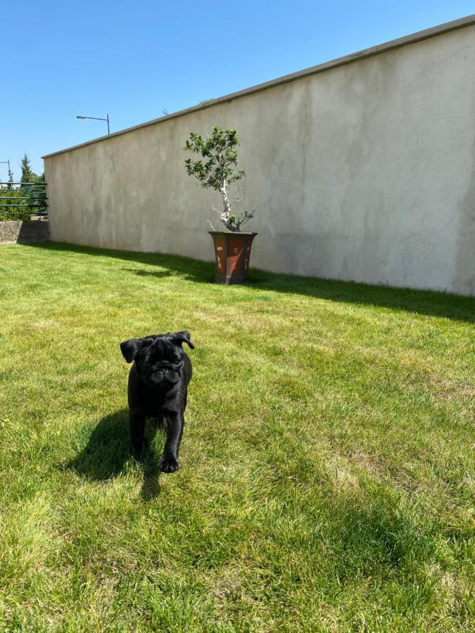 Olga Chambre D'Hote Verdun-sur-Meuse Exterior photo